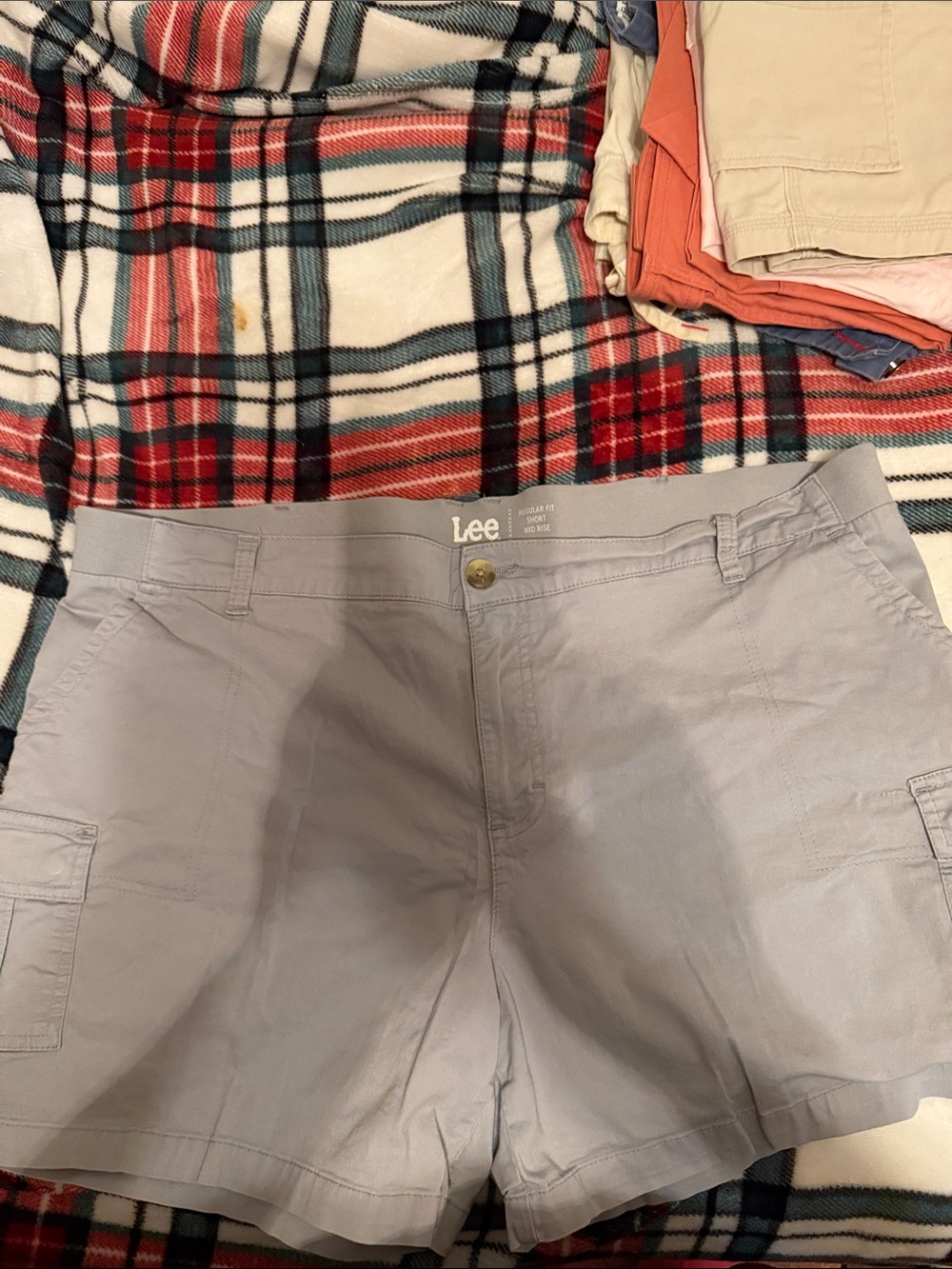Lee Men’s Light Gray Cargo Shorts